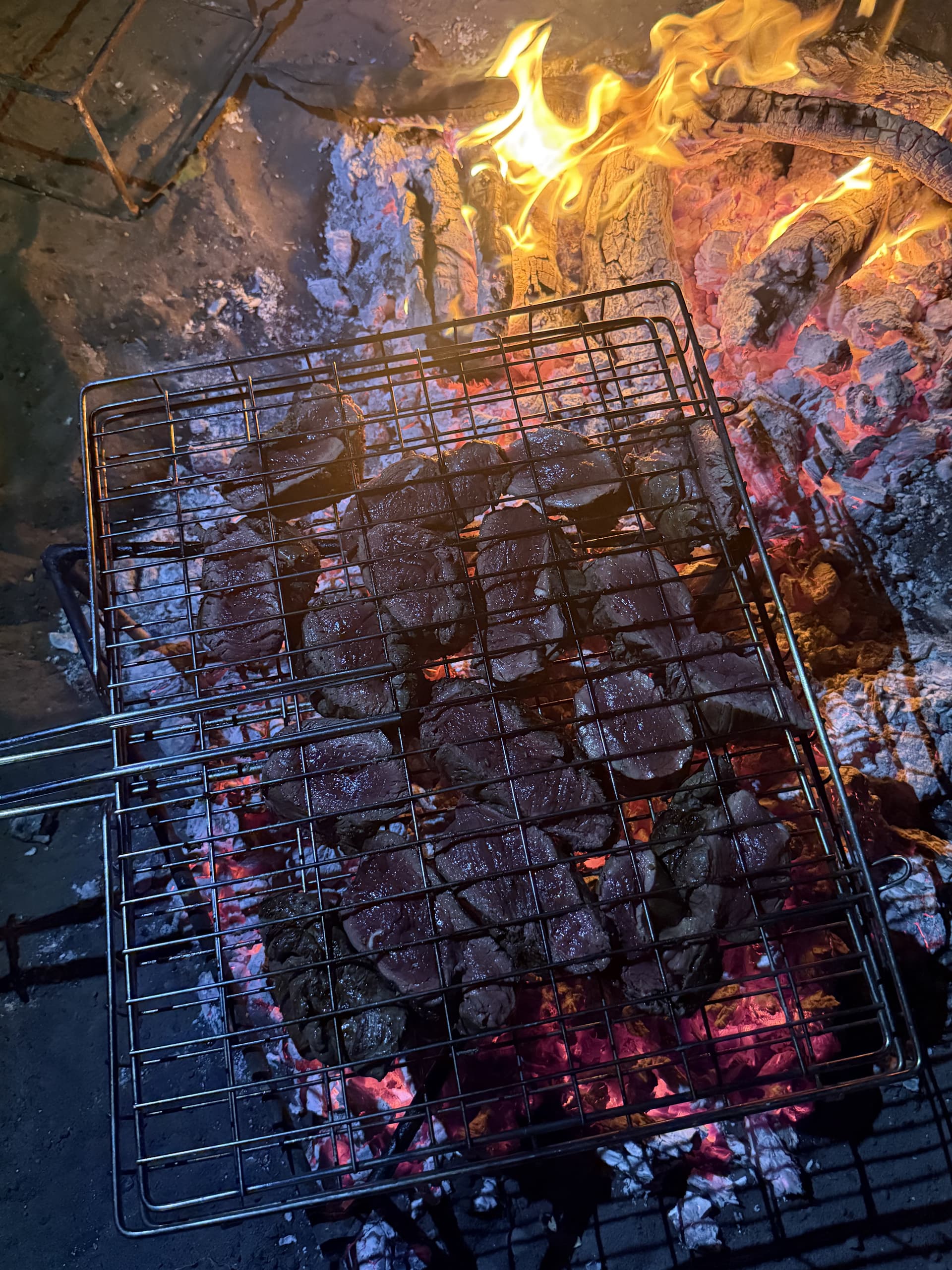 Meat sizzling on a wire grid over glowing braai coals at Samonyana Private Island.