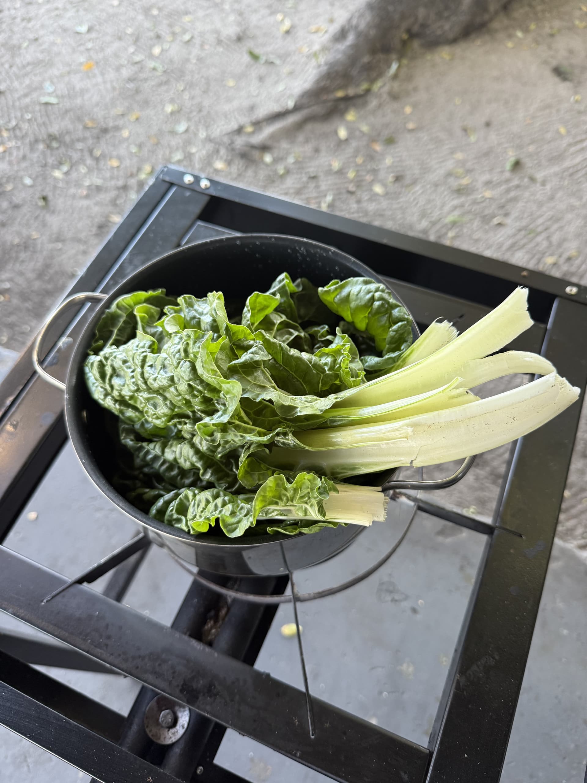 Freshly harvested greens and leeks in a pot on the outdoor kitchen stove at Samonyana.