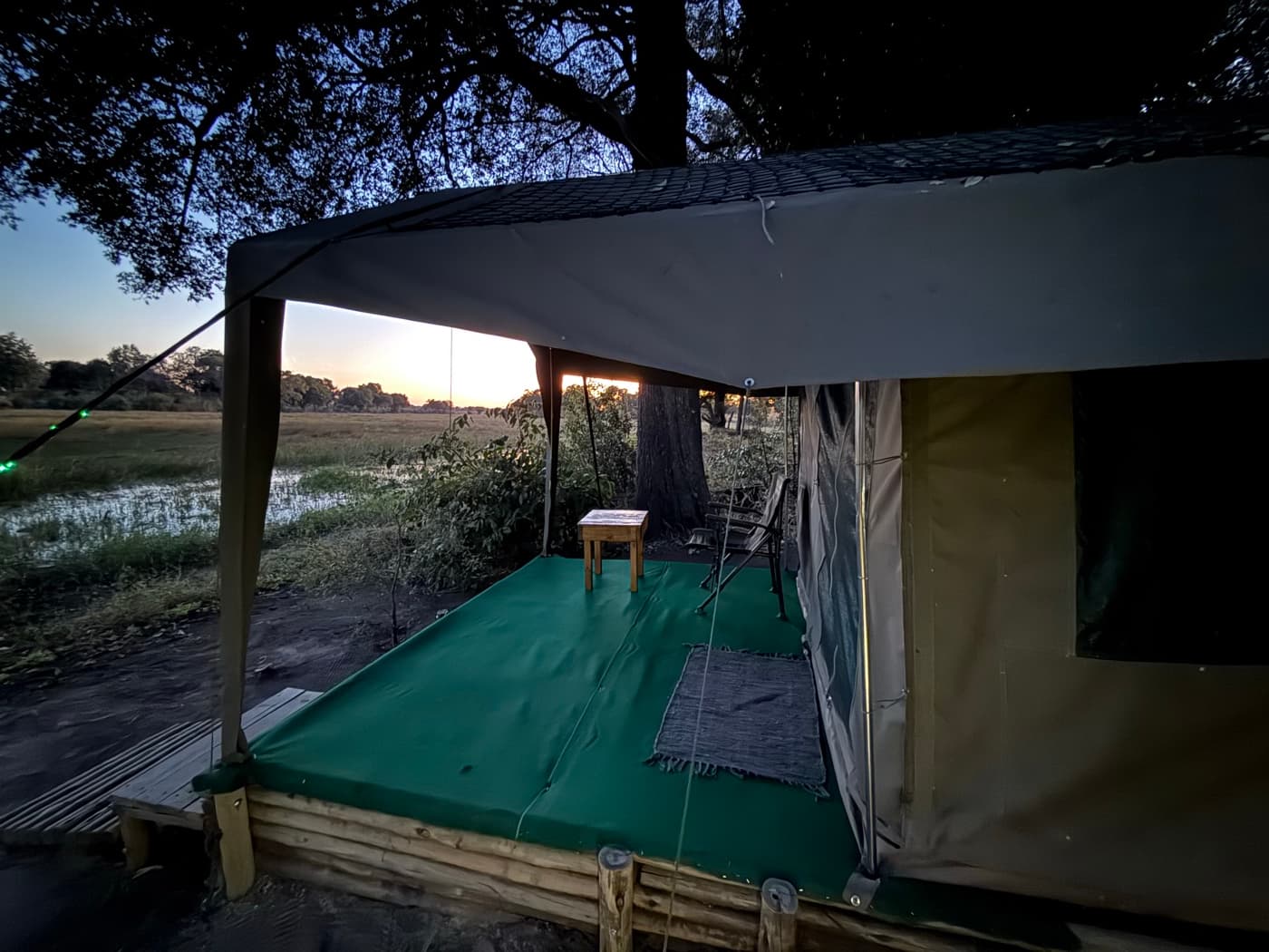 Safari tent exterior nestled among delta woodland at Samonyana Private Island