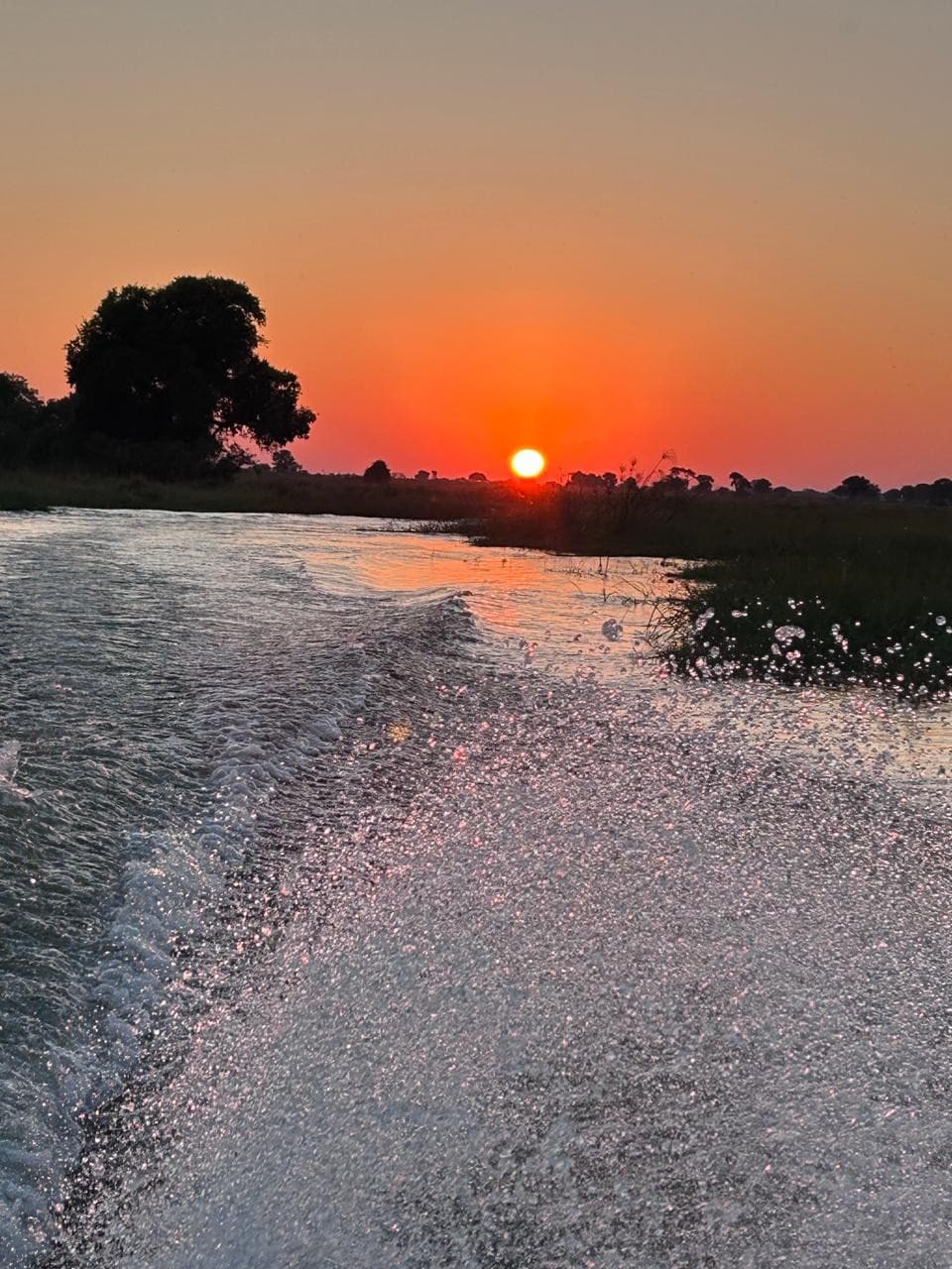 Boat wake glittering across an Okavango Delta channel as the sun sets