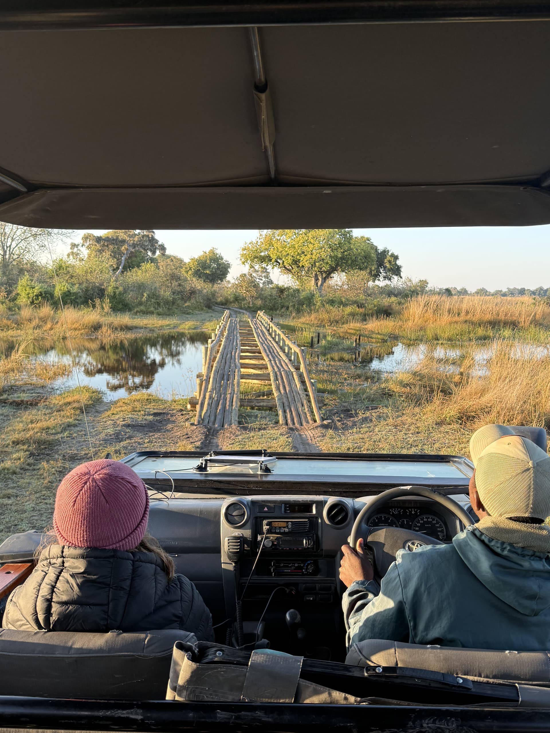 Guests on a game drive crossing a wooden bridge over the flooded plains in the Okavango Delta.