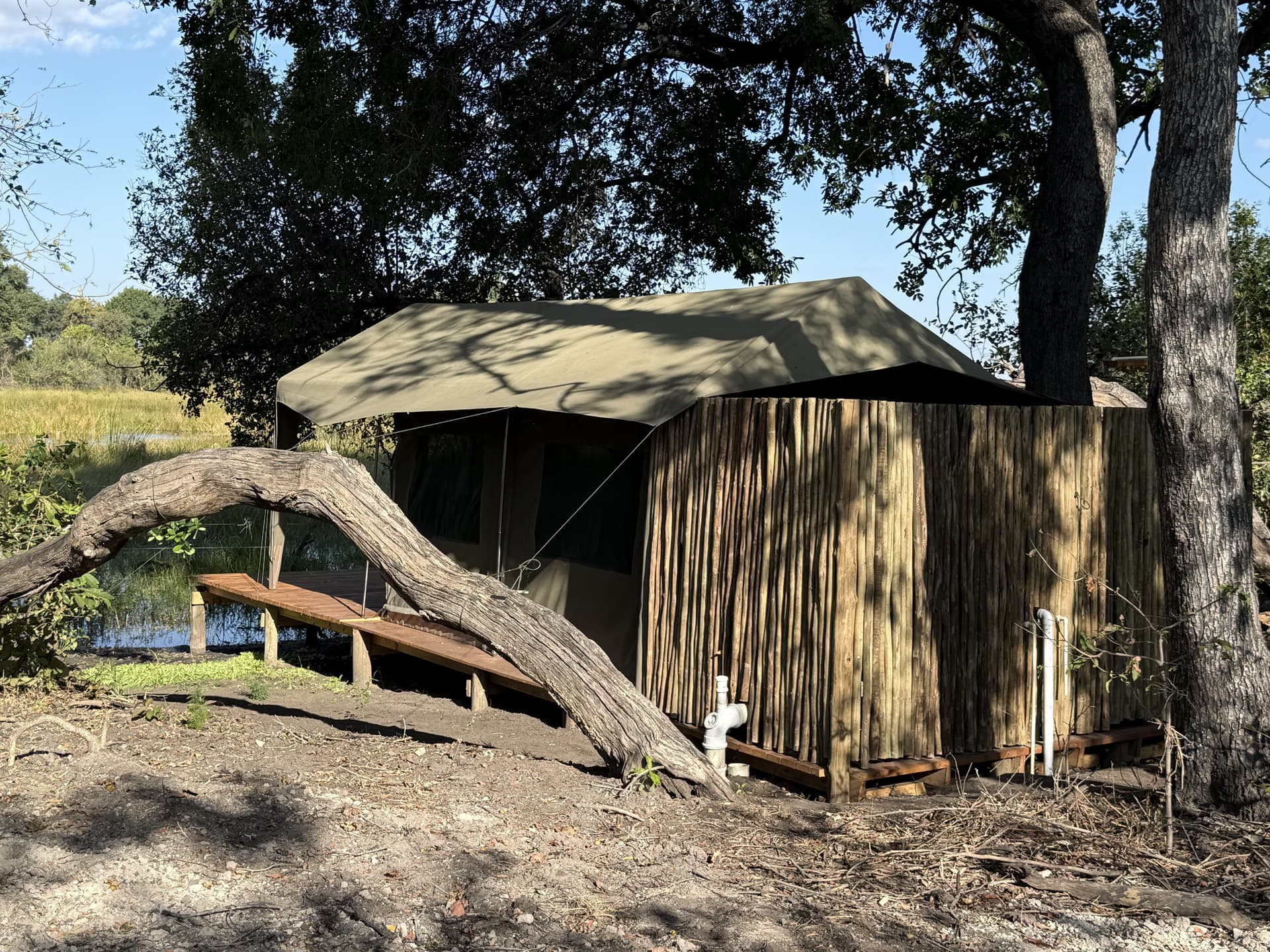 Exterior of a canvas-roofed guest tent with reed walls set among trees beside the water at Samonyana Private Island.