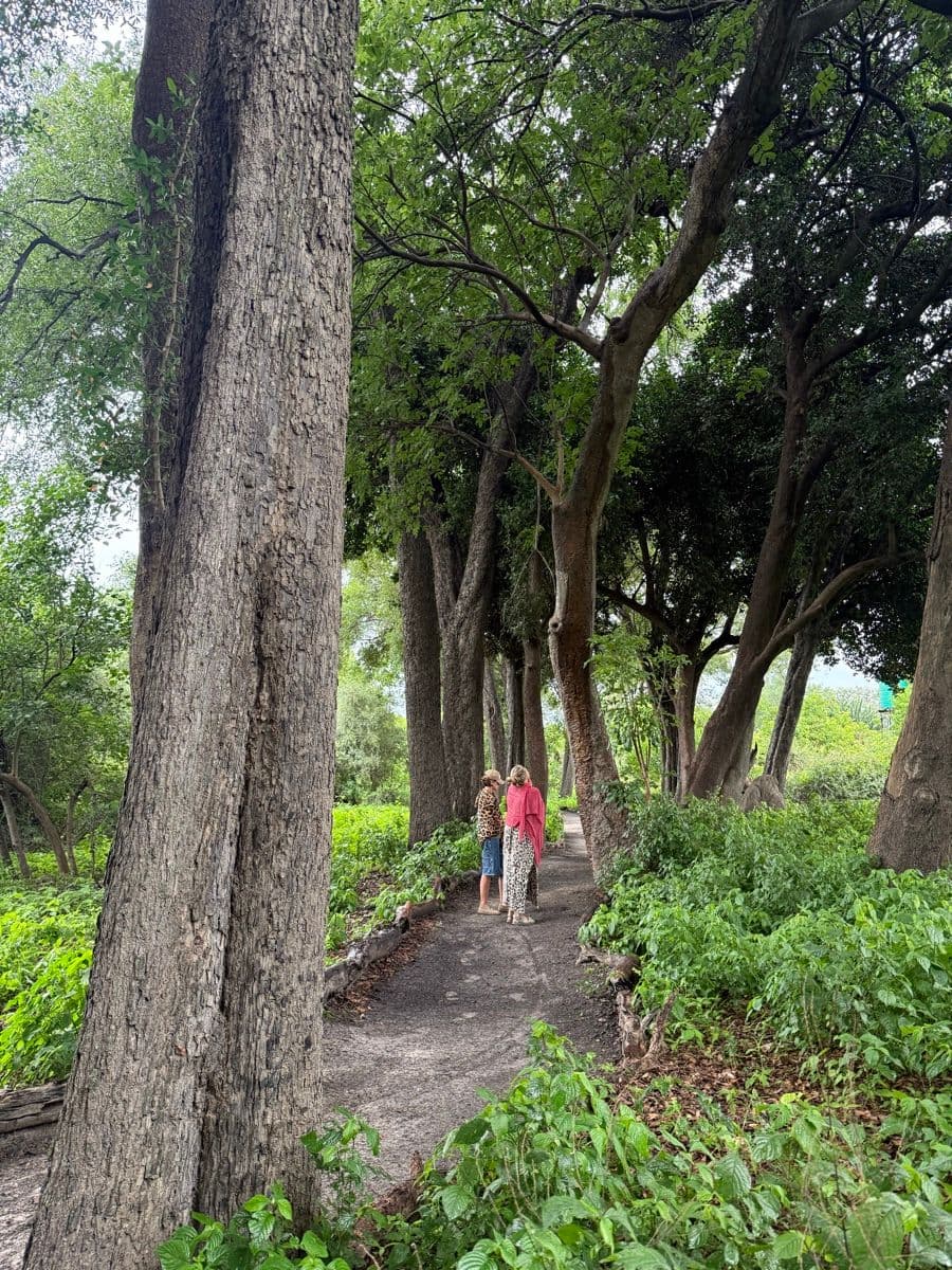 Couple walking along the tree-lined island path at Samonyana