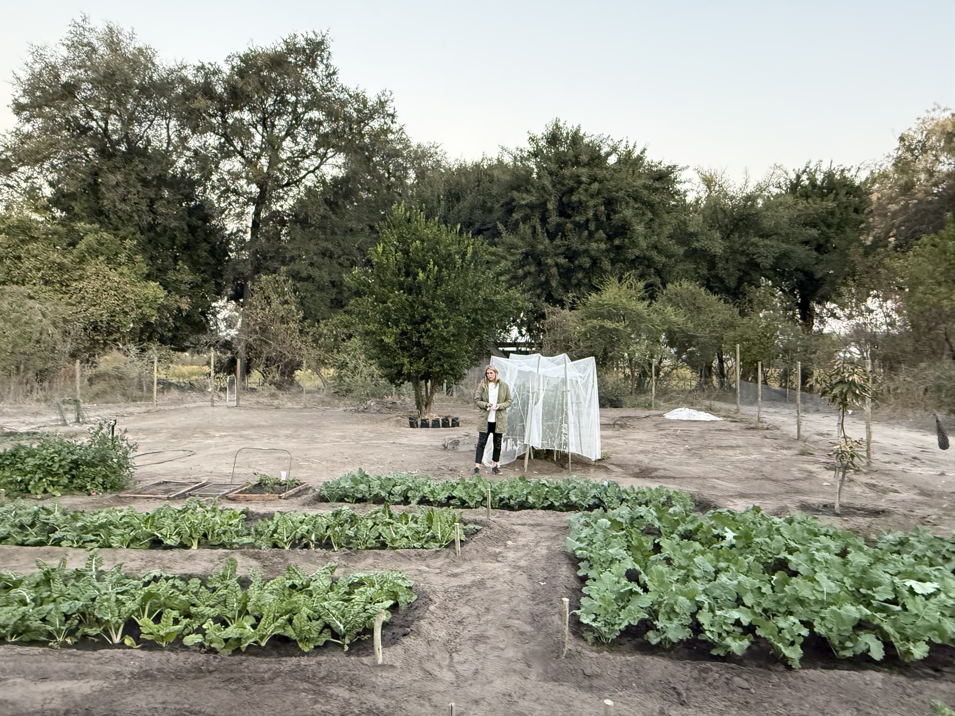 Camp gardener tending rows of vegetables in the organic kitchen garden at Samonyana Private Island