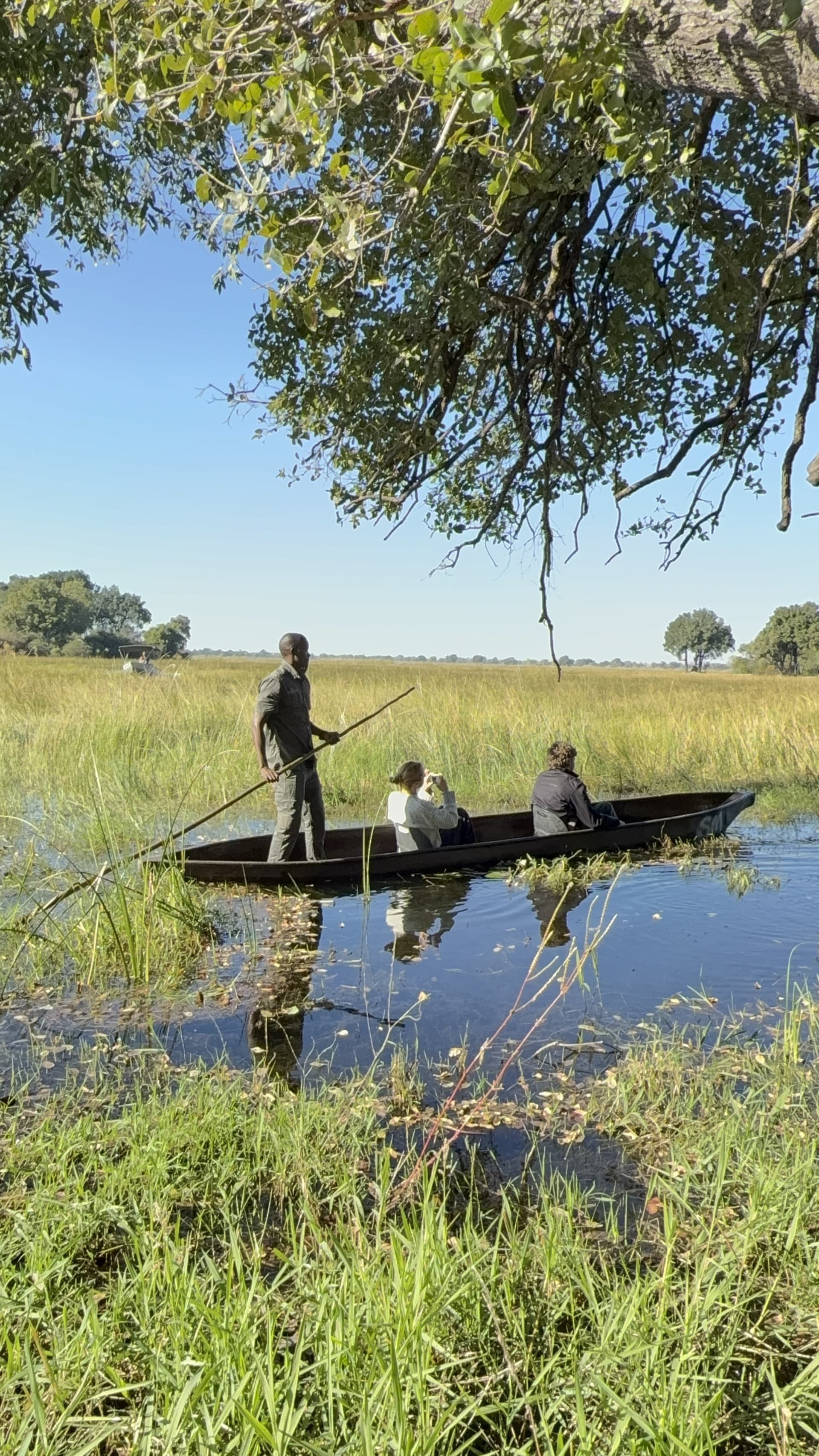 A poler guides guests along a mokoro cruise through the grassy channels of the Okavango Delta.