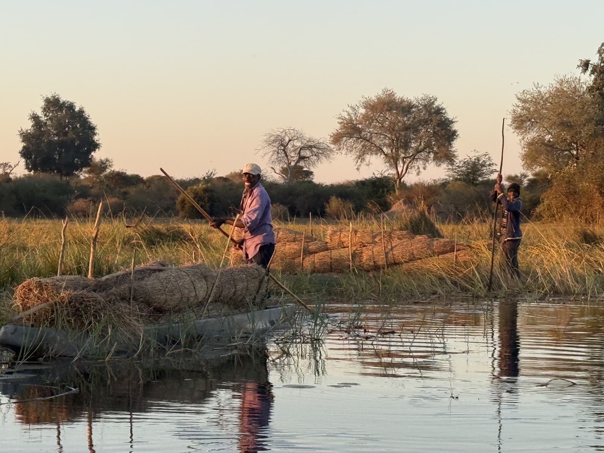 Guide poling a mokoro laden with reeds through the Okavango Delta at sunset while a child poles a second boat nearby