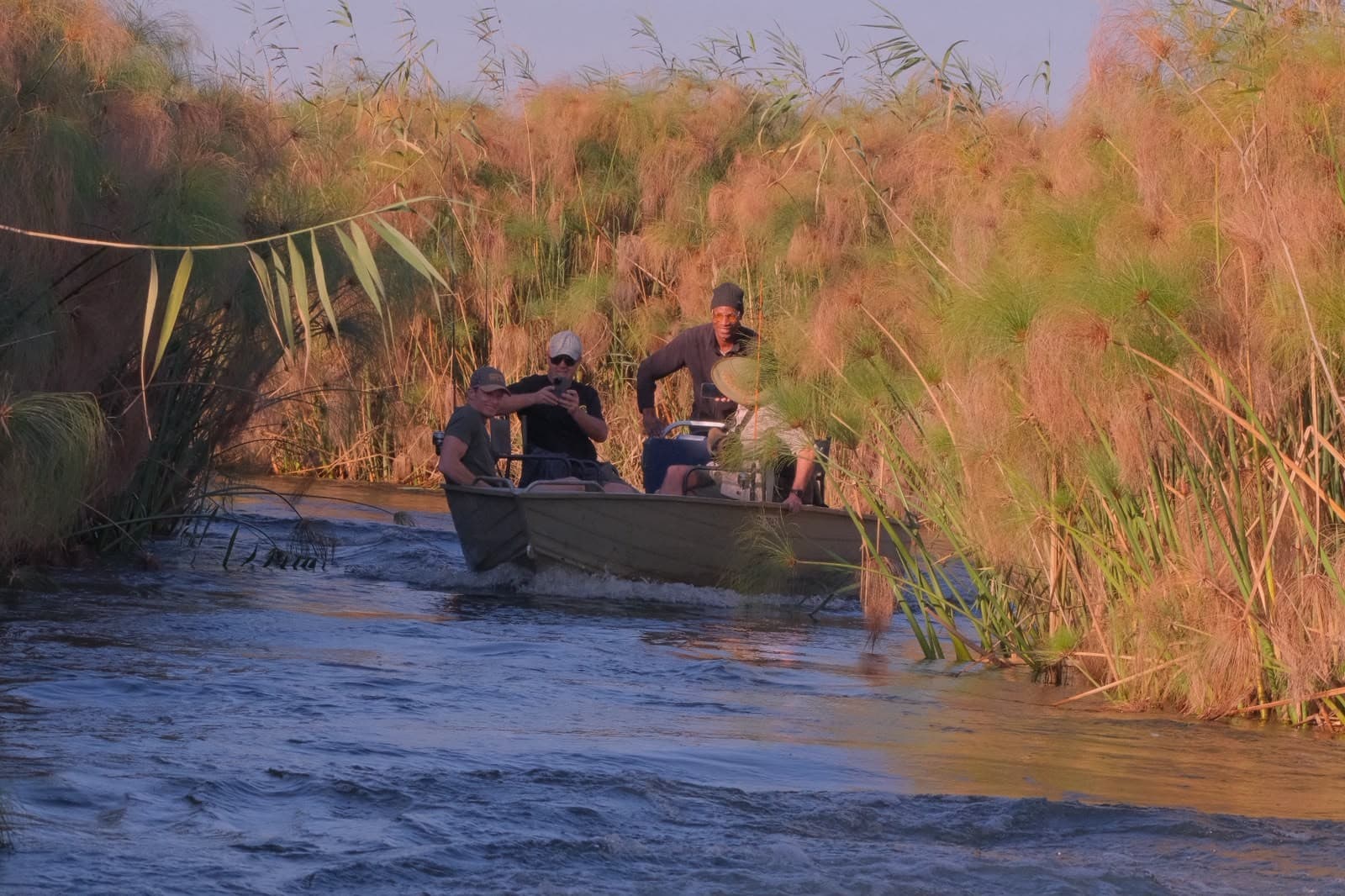 Guests cruising by boat through tall papyrus reeds at golden hour near Samonyana