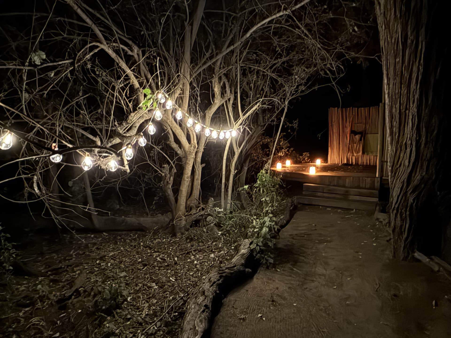 Fairy-lit pathway winding through the trees toward a guest tent at Samonyana Private Island at night.