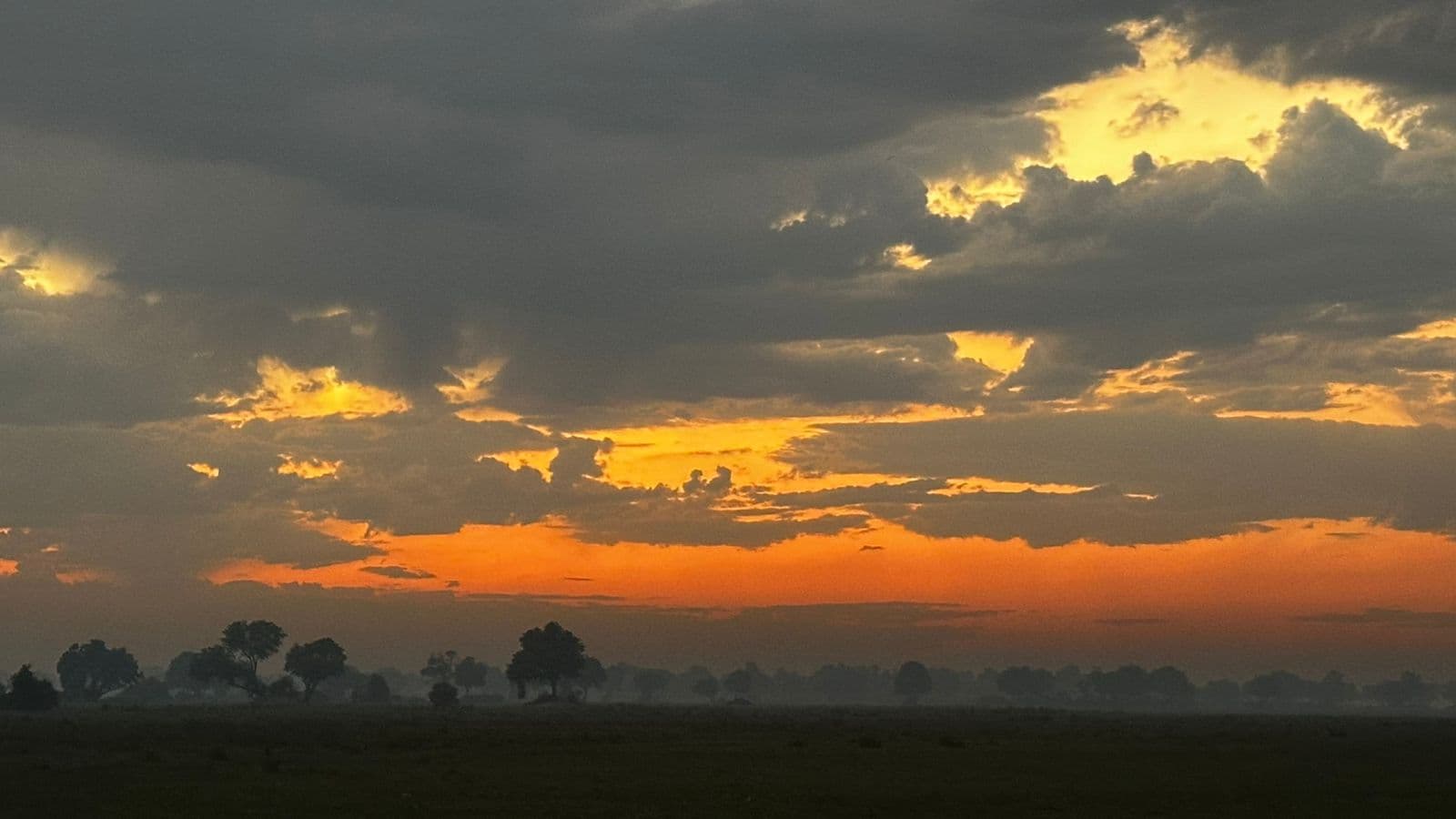 Sunrise game drive on the Okavango Delta — dramatic sky and silhouetted trees at Samonyana