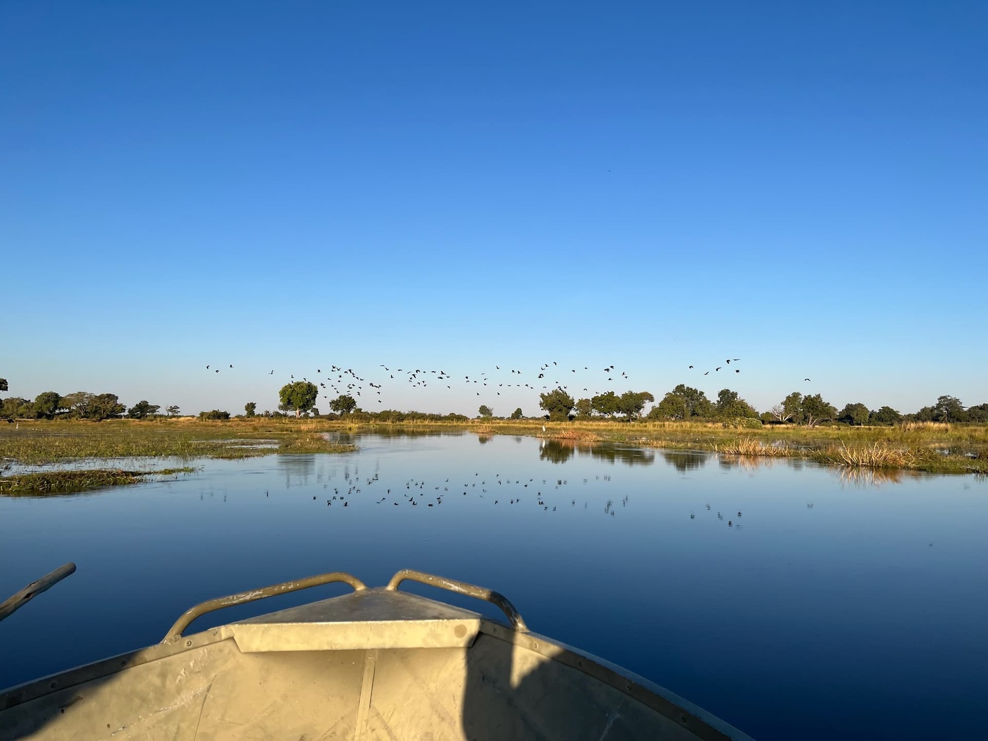 Birds silhouetted against a fiery orange sunset over the Okavango Delta