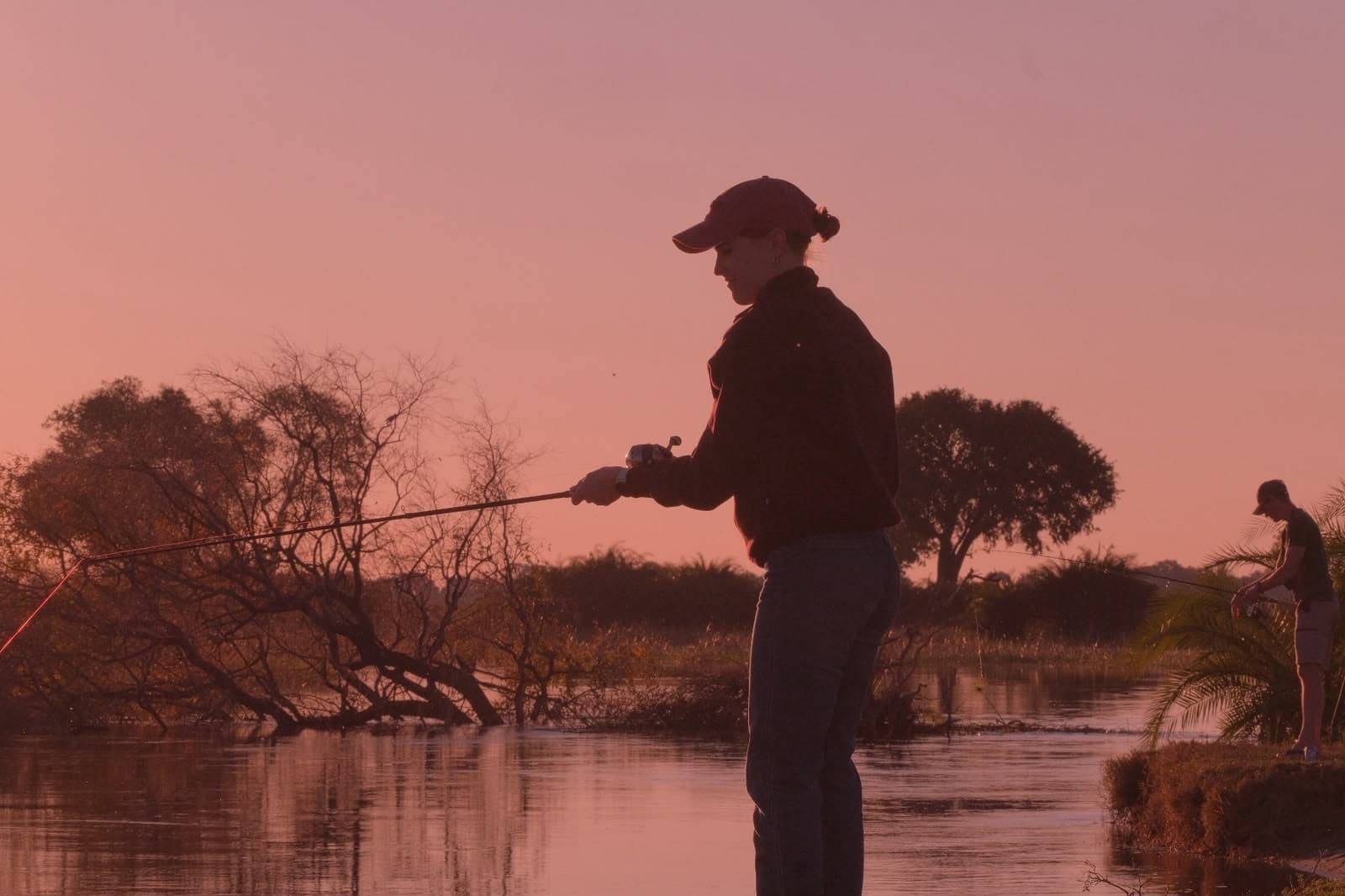 Guest fly-fishing in the shallows of the Okavango Delta silhouetted against a pink sunset sky
