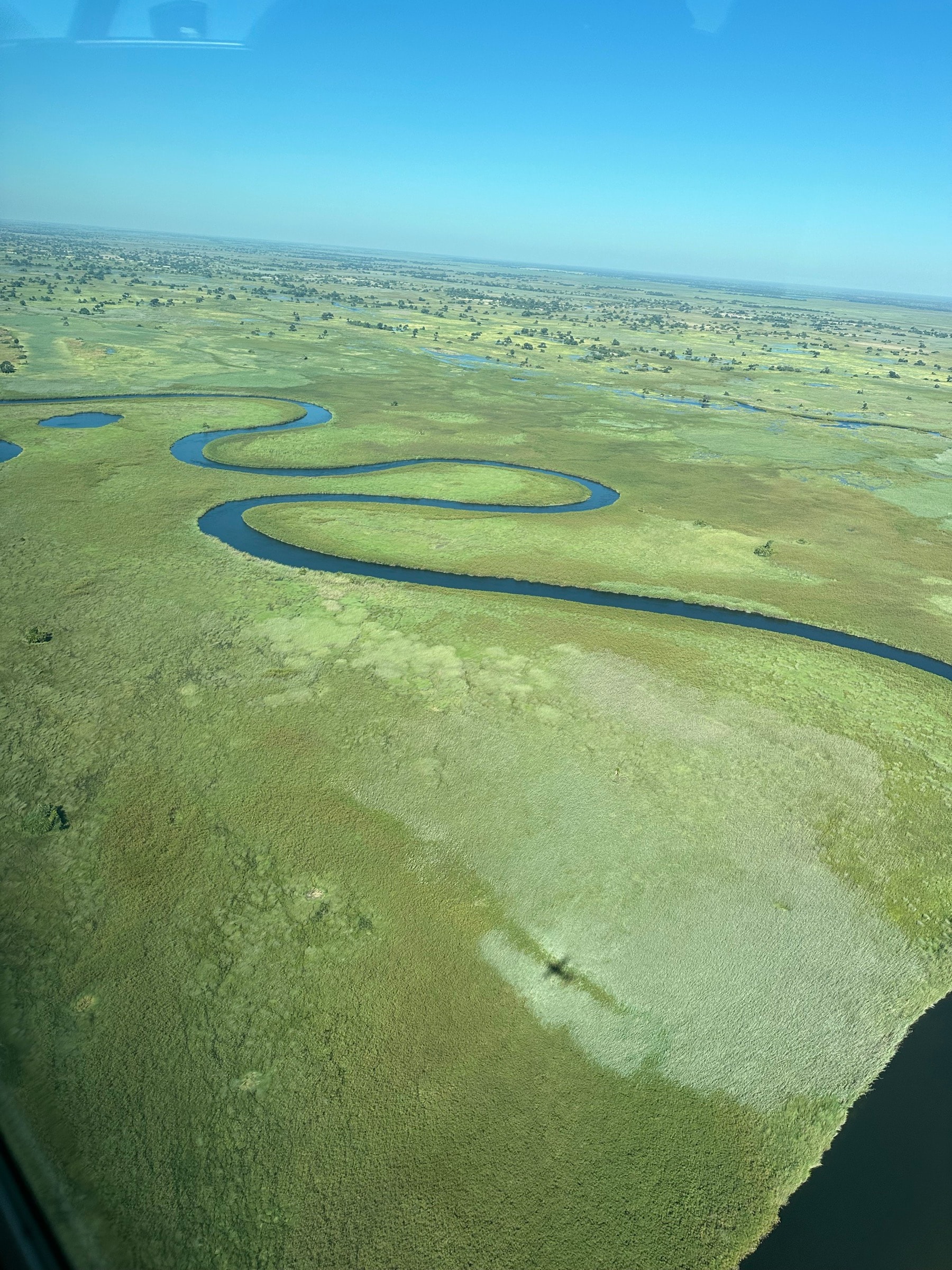 Aerial view of Samonyana island and surrounding Okavango Delta channels