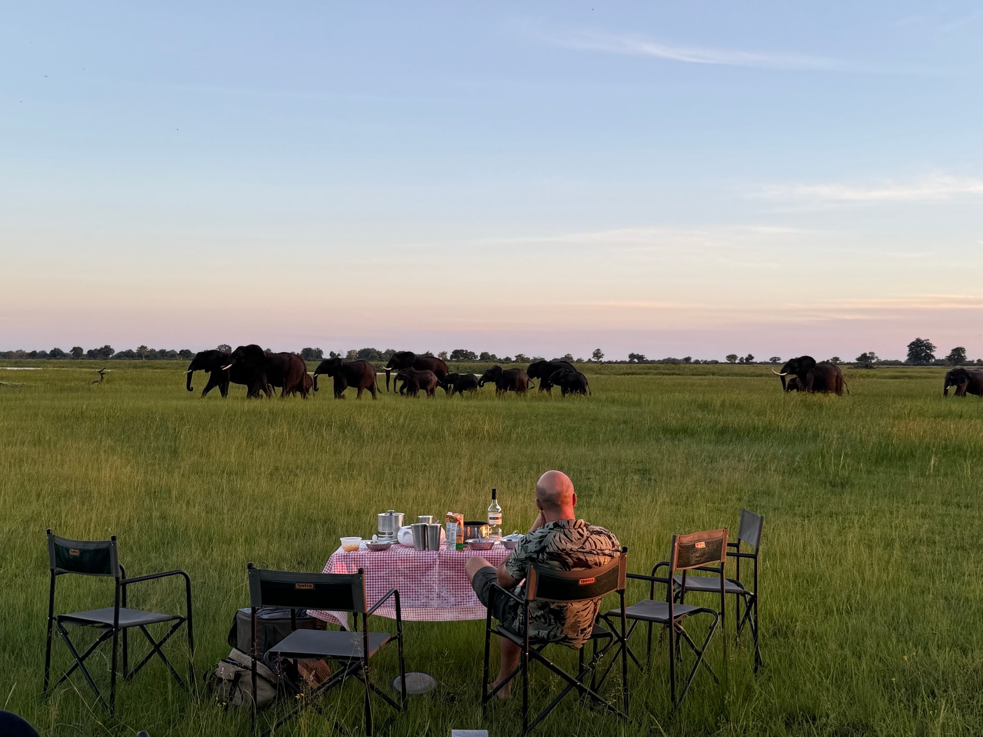 Bush dinner under the stars with an elephant herd in the distance