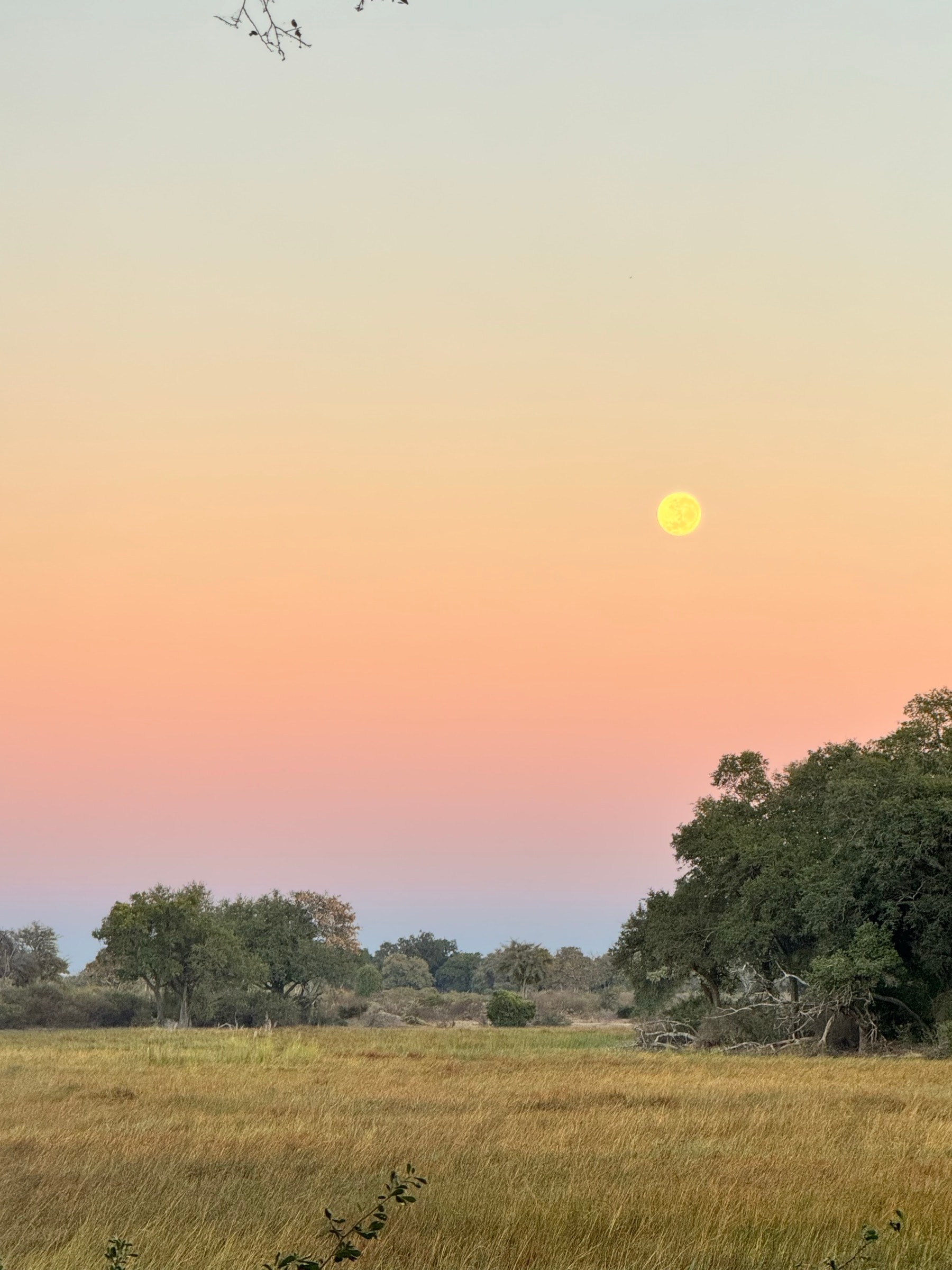 Peaceful delta water channel at Samonyana