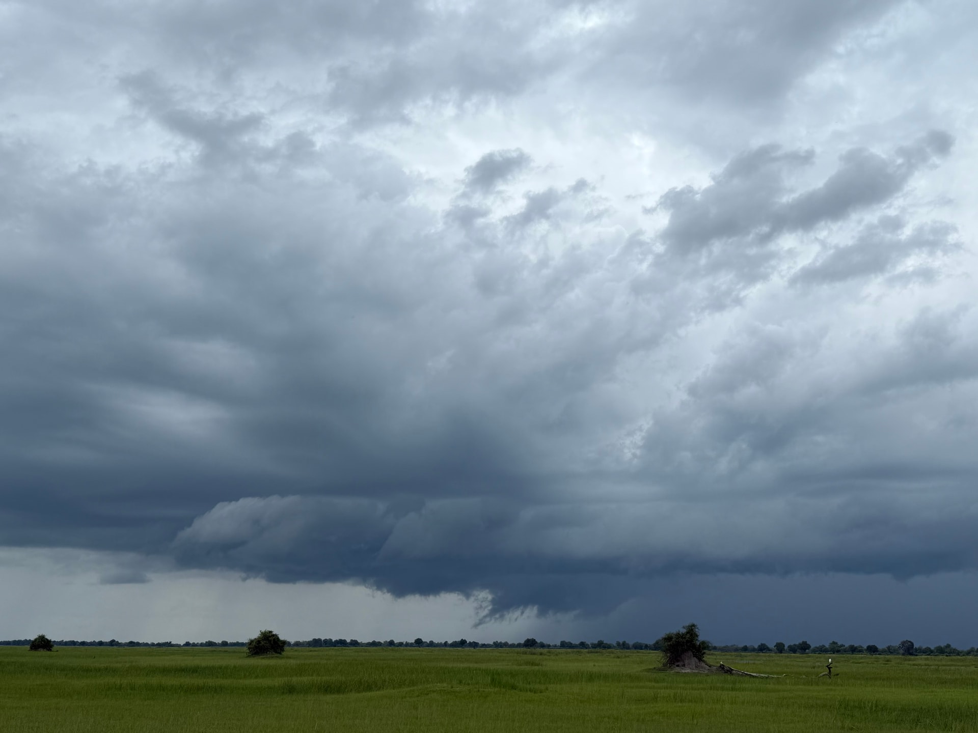 Delta channel and floodplain at Samonyana