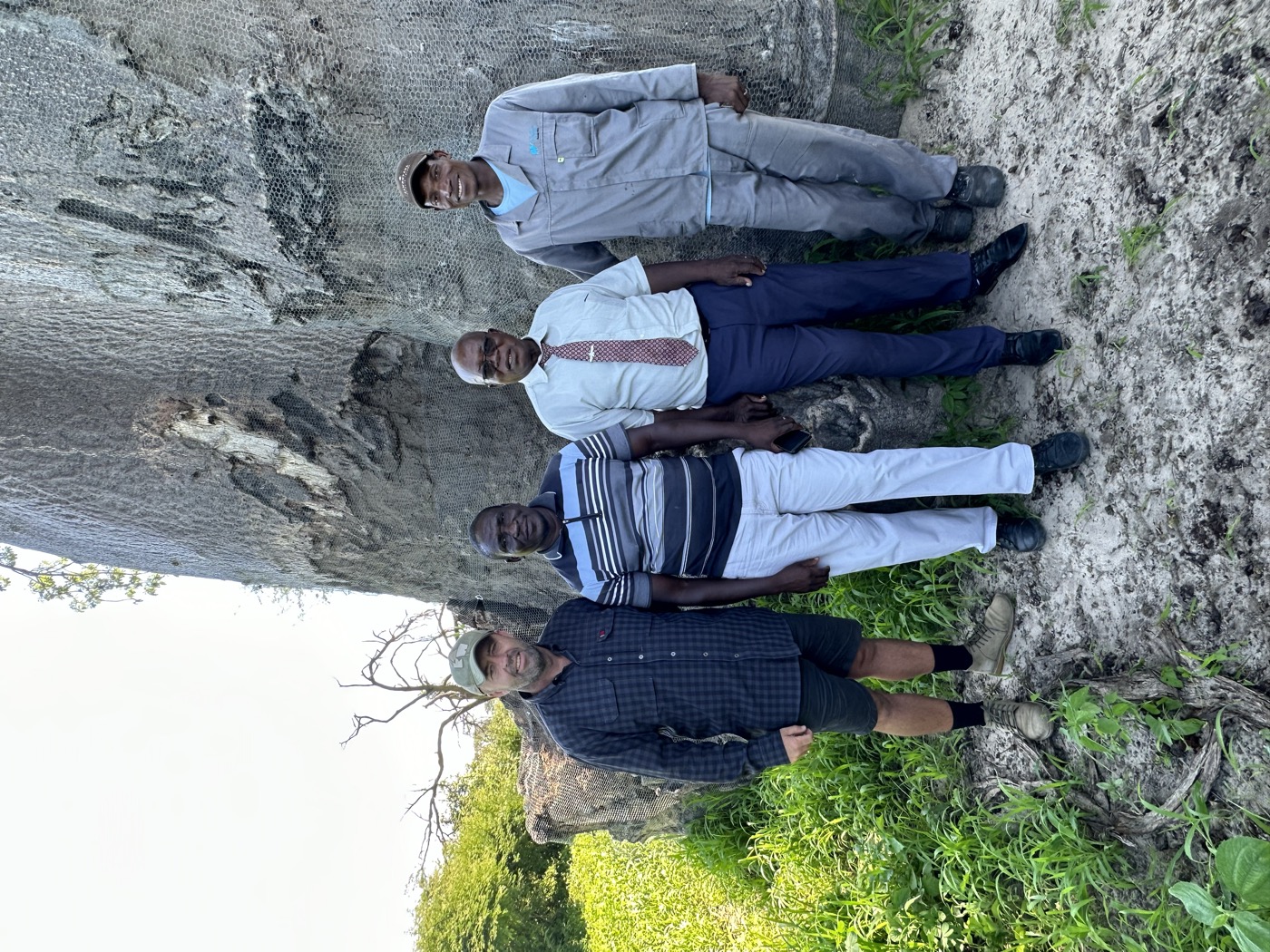 Conservation team of four beside a wire-wrapped baobab tree on Samonyana Island, Okavango Delta