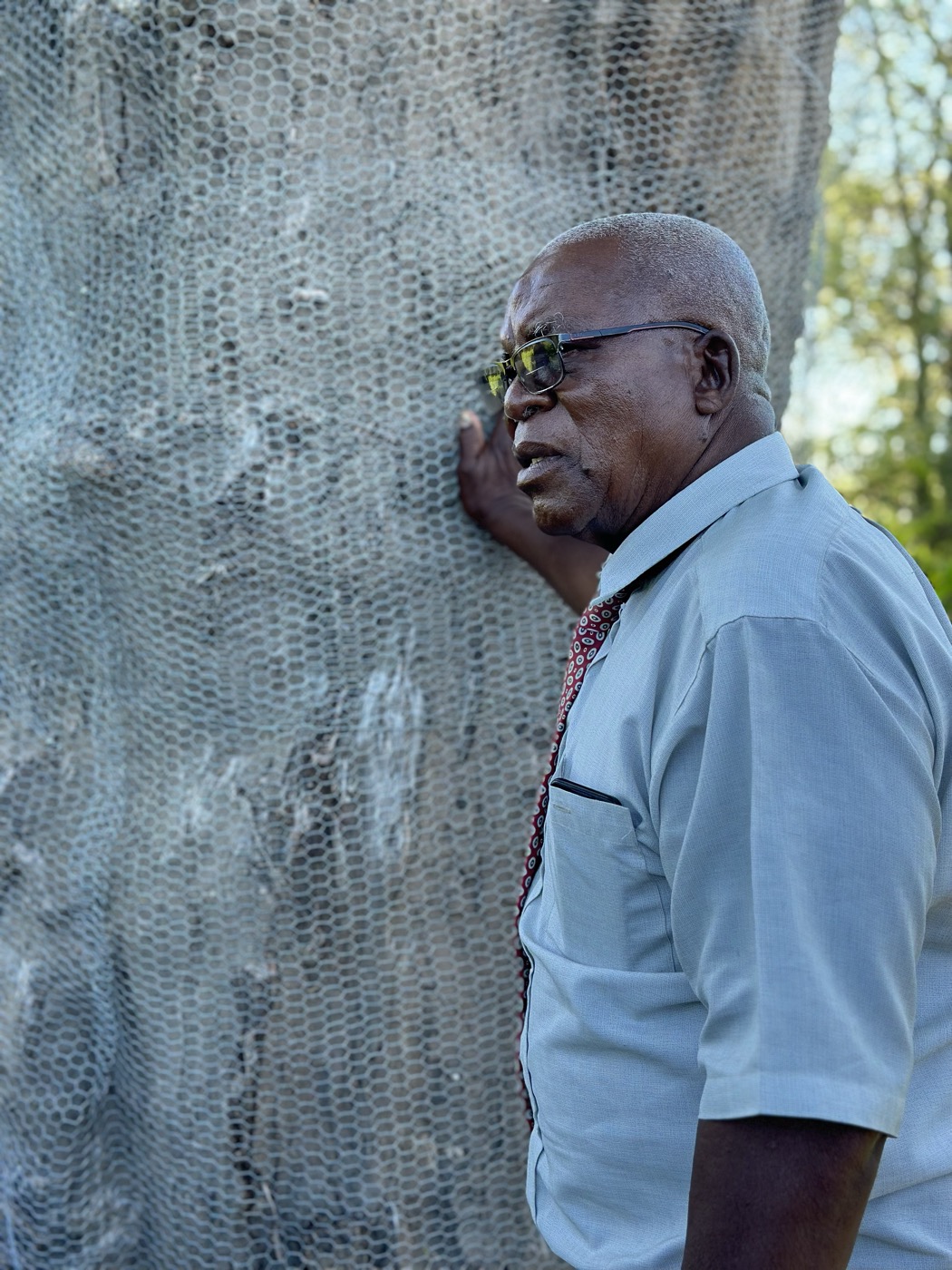 Community elder inspecting the wire wrap protecting a ringbarked baobab at Samonyana