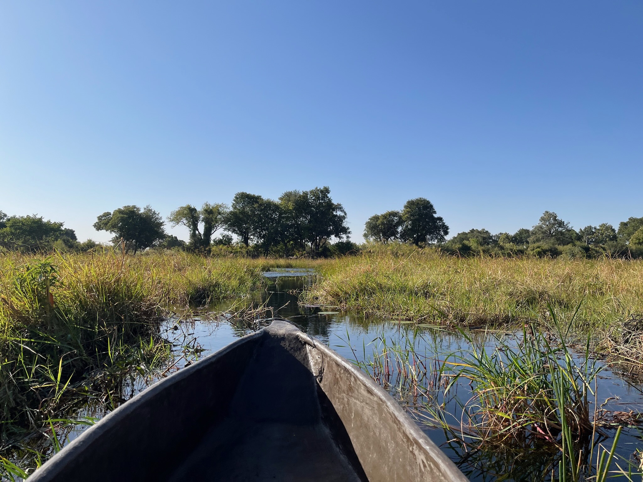 Mokoro canoe gliding through the Okavango Delta channels at Samonyana