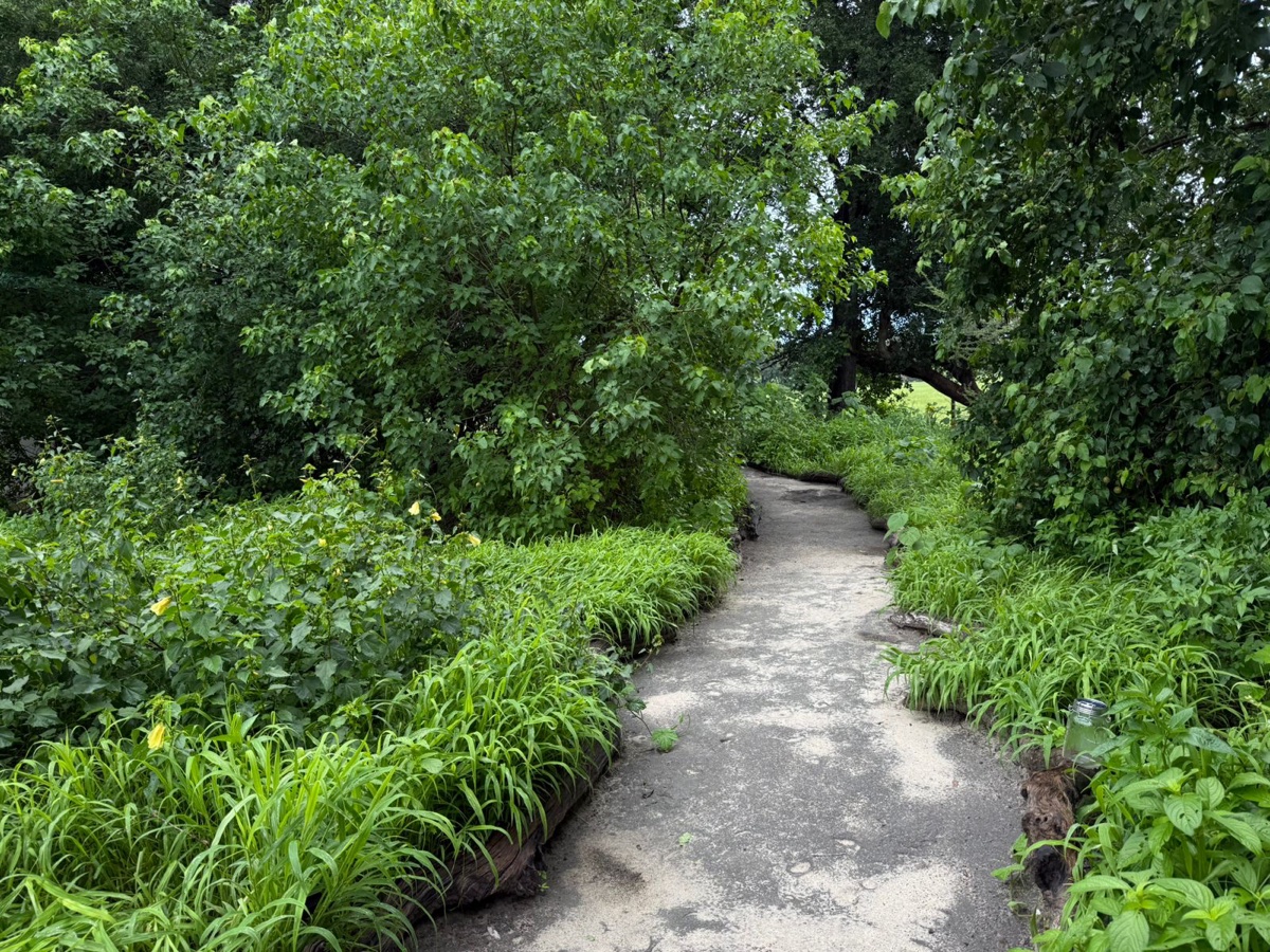 Lush vegetation on the island interior